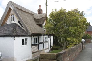 Wattle and Daub, 009